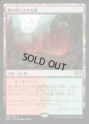 画像1: 踏み鳴らされる地/Stomping Ground