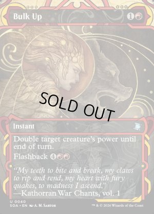 画像2: かさ上げ/Bulk Up