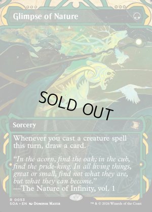 画像2: 垣間見る自然/Glimpse of Nature