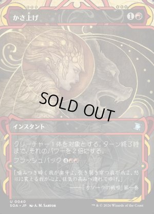 画像1: かさ上げ/Bulk Up