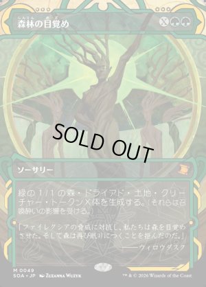 画像1: 森林の目覚め/Awaken the Woods