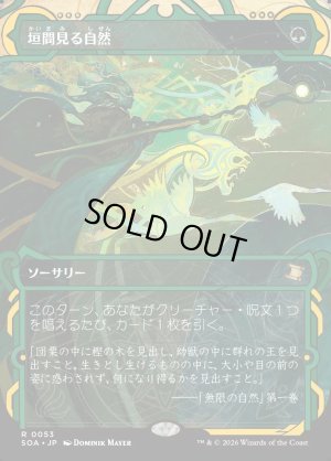 画像1: 垣間見る自然/Glimpse of Nature