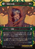 一繋がりの根/Shared Roots