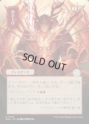 画像1: かさ上げ/Bulk Up