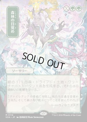 画像1: 森林の目覚め/Awaken the Woods