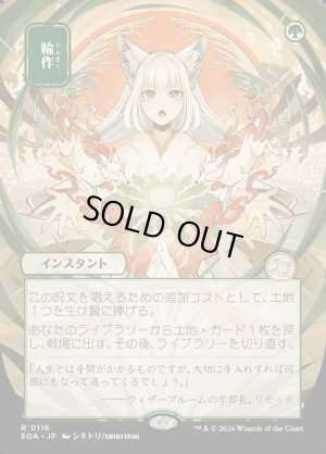 画像1: 輪作/Crop Rotation