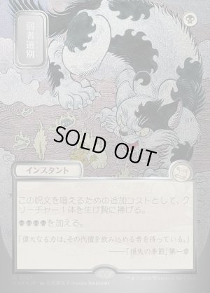 画像1: 弱者選別/Culling the Weak