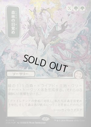 画像1: 森林の目覚め/Awaken the Woods