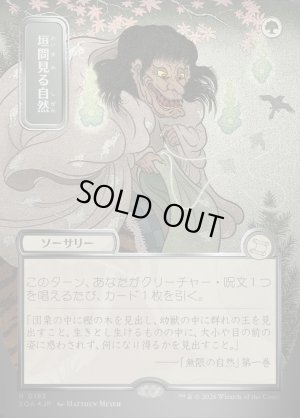 画像1: 垣間見る自然/Glimpse of Nature