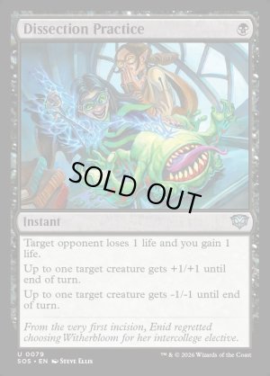 画像2: 解剖実習/Dissection Practice