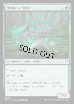 画像2: 有毒イモリ/Noxious Newt