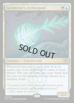 画像2: 幾何学の節足動物/Geometer's Arthropod