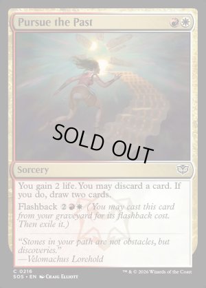 画像2: 過去の追求/Pursue the Past