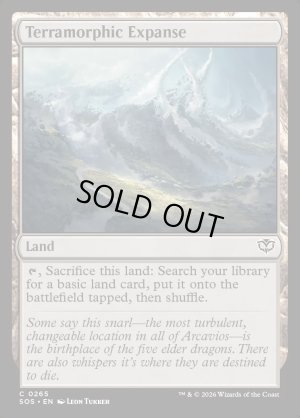 画像2: 広漠なる変幻地/Terramorphic Expanse