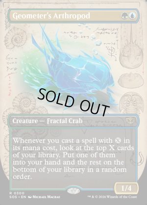 画像2: 幾何学の節足動物/Geometer's Arthropod