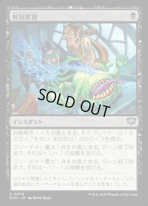 画像1: 解剖実習/Dissection Practice