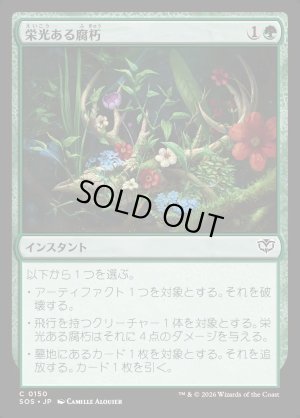 画像1: 栄光ある腐朽/Glorious Decay