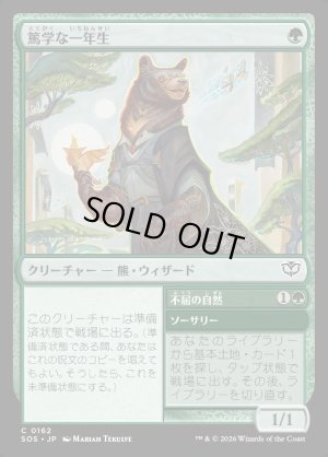 画像1: 篤学な一年生/Studious First-Year