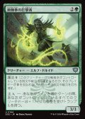 荊棘拳の打撃者/Thornfist Striker