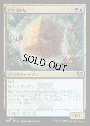 画像1: 立方体群棲/Cuboid Colony