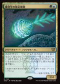 幾何学の節足動物/Geometer's Arthropod