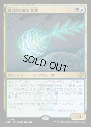 画像1: 幾何学の節足動物/Geometer's Arthropod