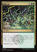 精神の根/Mind Roots