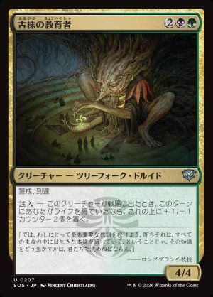 画像1: 古株の教育者/Old-Growth Educator