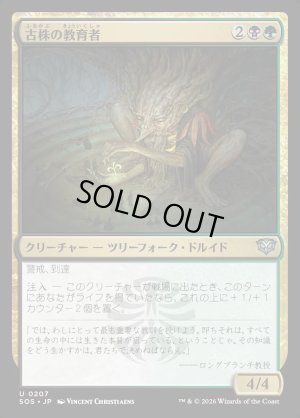 画像1: 古株の教育者/Old-Growth Educator