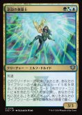 逆説の測量士/Paradox Surveyor