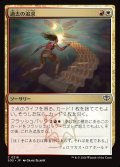 過去の追求/Pursue the Past