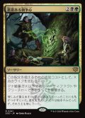 悪意ある競争心/Vicious Rivalry