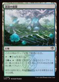 逆説の庭園/Paradox Gardens