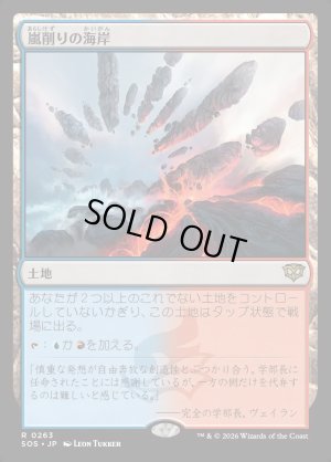 画像1: 嵐削りの海岸/Stormcarved Coast