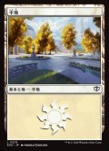 平地/Plains
