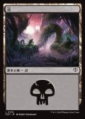 沼/Swamp