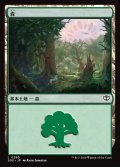 森/Forest