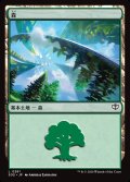 森/Forest