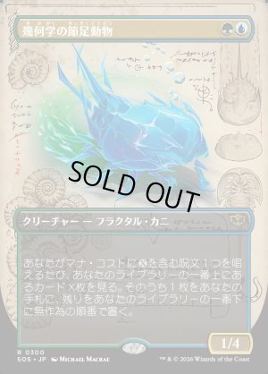 画像1: 幾何学の節足動物/Geometer's Arthropod