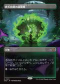 死天狗茸の林間地/Deathcap Glade