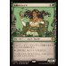画像1: 楽園のドルイド/Paradise Druid (1)