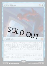 天井に隠れろ/Hide on the Ceiling