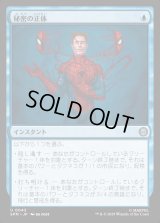 秘密の正体/Secret Identity