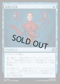 秘密の正体/Secret Identity