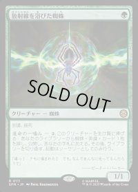 放射線を浴びた蜘蛛/Radioactive Spider