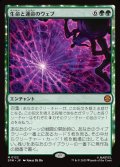 生命と運命のウェブ/Web of Life and Destiny