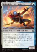 敏捷な糸使い、サン・スパイダー/Sun-Spider, Nimble Webber