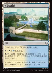 大学の敷地/University Campus