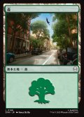 森/Forest