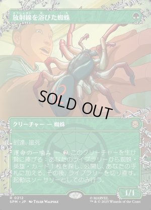 画像1: 放射線を浴びた蜘蛛/Radioactive Spider